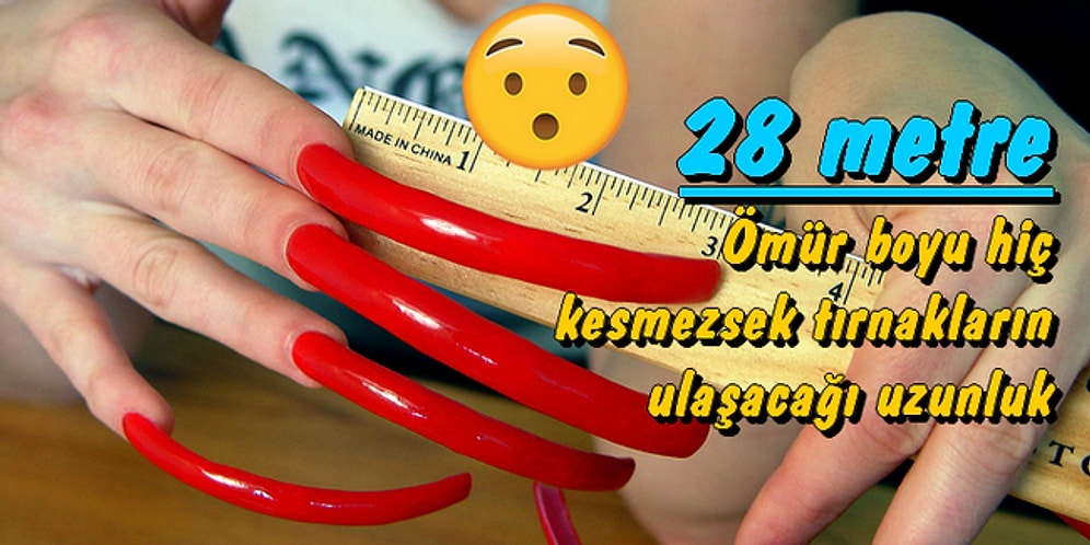 Sayılarla Vücudumuz: Ömrümüz Boyunca Vücudumuzda Neler Nasıl Gerçekleşiyor?