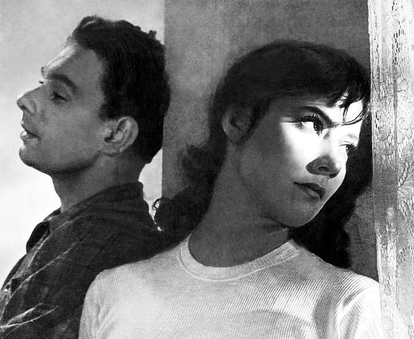 3. Летят журавли