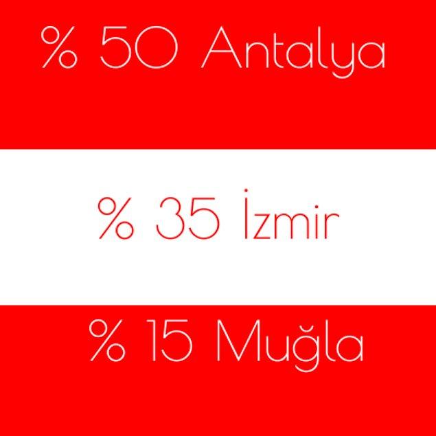 %50 Antalya %35 İzmir %15 Muğla!