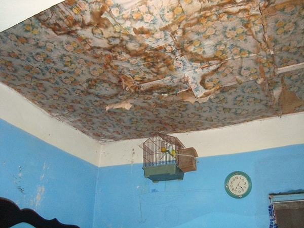 5. Условия жизни