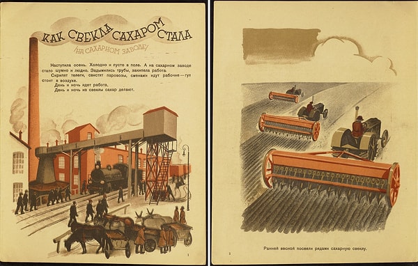 3. Рассказ о том, как свеклу превращают в сахар