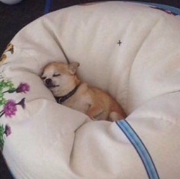 11. Когда с утра все наконец-то уходят, давая возможность спокойно поспать: