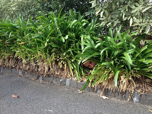 4. Да уж, теперь я понимаю, почему эти фотки стали так популярны!