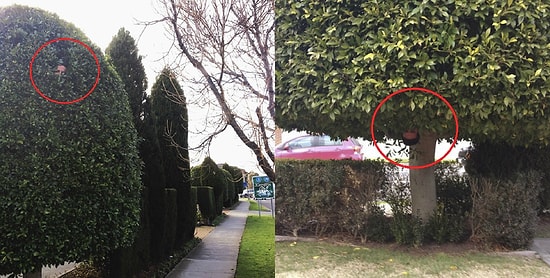 Веселые фото будней садовника стали невероятно популярны в Сети