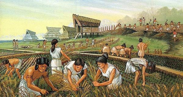 10.000 yıl önce gerçekleşen Tarım Devrimi ile birlikte insanlar, komün topluluklar halinde yaşamaya ve yemek konusunda çok fazla çeşitlilik imkanına sahip olmaya başladılar.