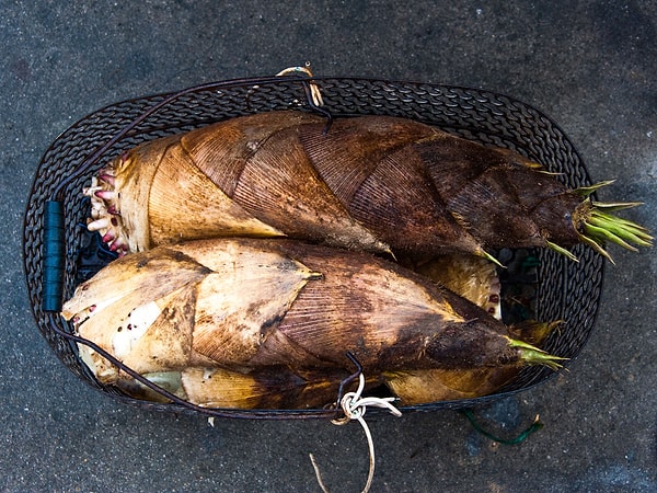 10. Молодые побеги бамбука и окорок — блюдо из Аньхой