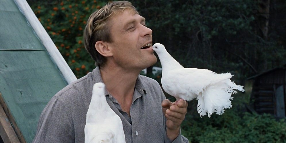 19 невероятно жизненных цитат из фильма "Любовь и голуби"