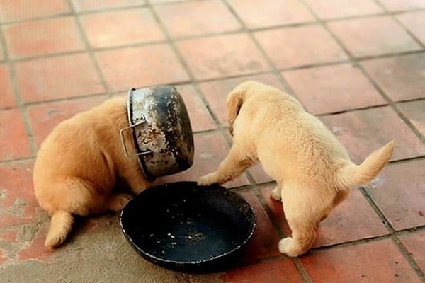 9. Вся боль в одном фото