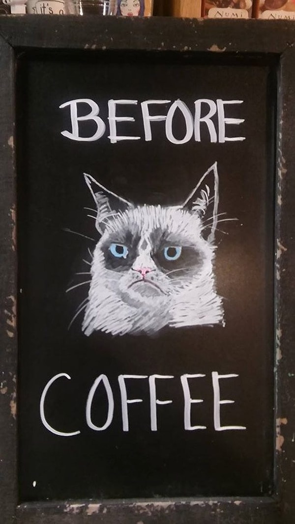 15. Сердитый кот всегда говорит только правду