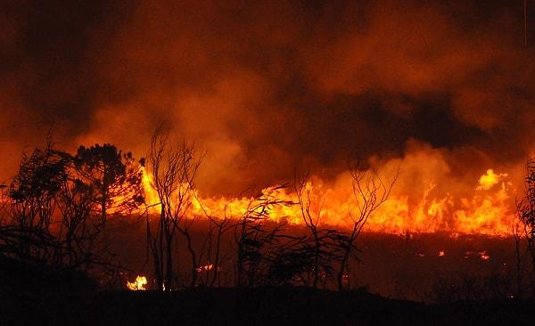Marmaris Orman İşletme Müdürü Hakan Zeybek, yaklaşık 4 hektarlık alanın alevlerden etkilendiğini ve yangının çıkış nedeninin henüz belirlenemediğini belirtti.