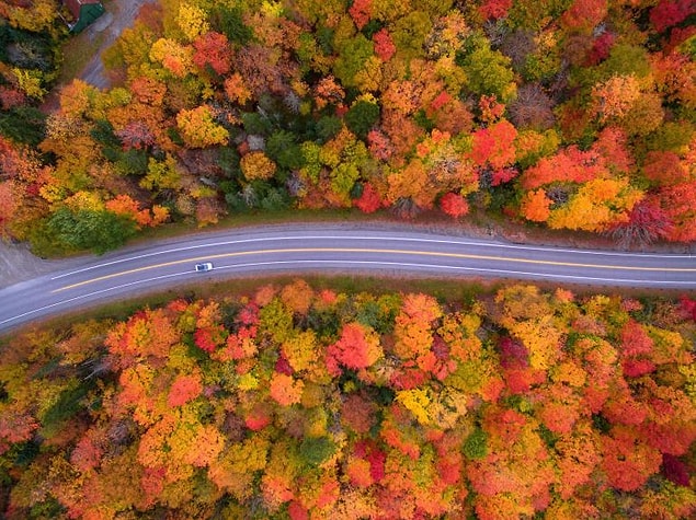 9. New Hampshire