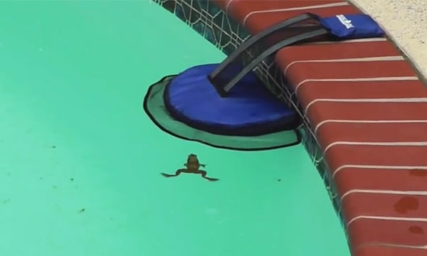 4. Узнав об этом, он начал работать над устройством, которое могло бы помочь этим крохам выбраться из ловушки.