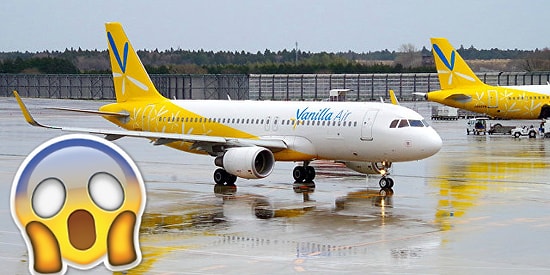 Рождённый ползать - летать не может: инвалид поднимался на борт самолёта ползком