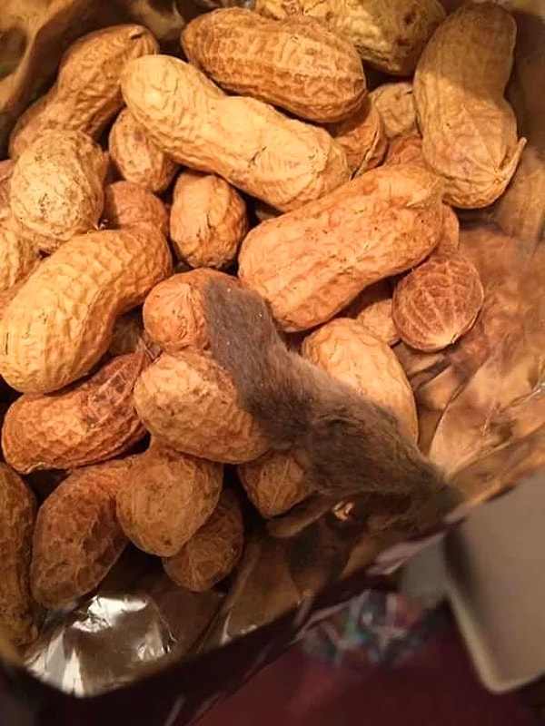 2. Ну, по крайней мере, мы знаем, что это не умерло голодным