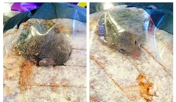 17. Крыса в пакете с хлебом...