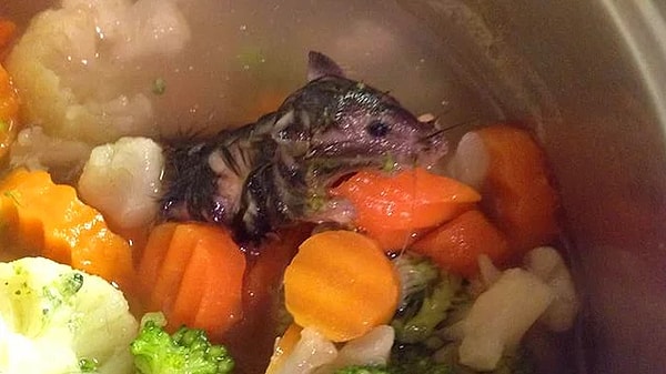 23. Не тот пейзаж, который вы ожидаете, когда открываете банку с овощами...