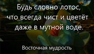 30 невероятно красивых и мудрых цитат недели, которые стоит запомнить