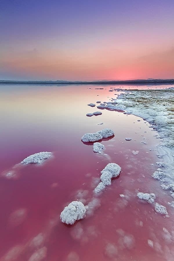 Вас ждёт Антарктика!