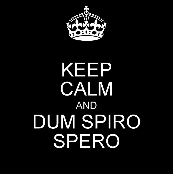 9. И последнее! "Dum spiro spero".