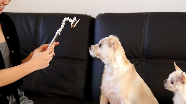 3. Одним концом Flexy Paw крепится к смартфону или камере, а на другом можно закрепить любимое лакомство или игрушку вашего маленького друга.