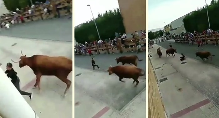 Hayattaki Tüm Şansını Boğalardan Kaçarken Harcayan Eleman