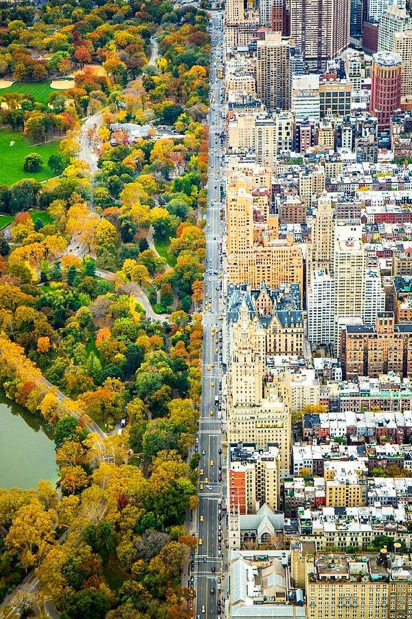 26. Tabii ki Central Park ve New York Şehri.