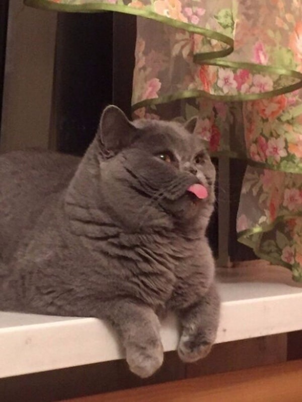 6. Всемирный аргумент в споре: