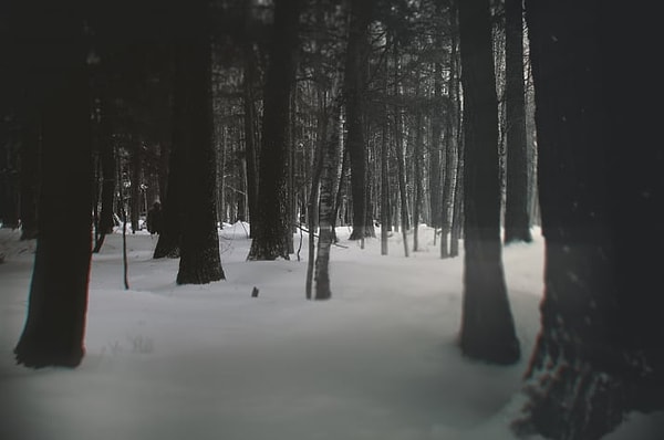 10. Никогда не знаешь, кто преследует тебя.