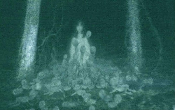 13. Вряд ли вы бы решились пойти по этой дороге...