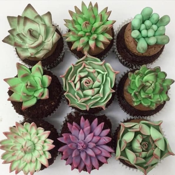 8. Капкейки в виде суккулентов 🌵