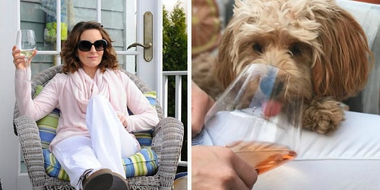 Если вы наберёте в этом тесте хотя бы 8/10, можете смело налить себе бокал вина