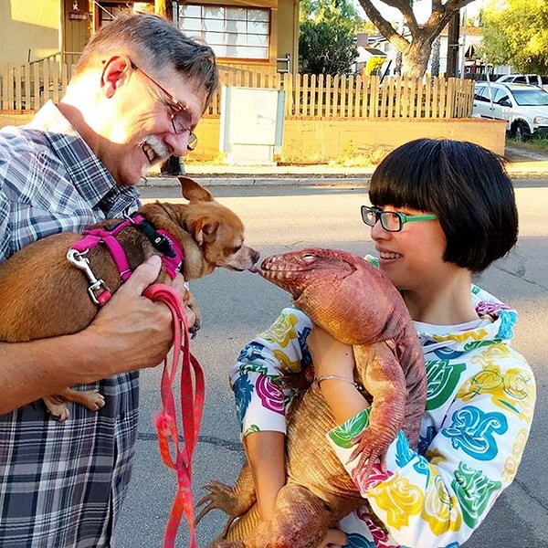 5. Ежедневно тысячи людей следят за жизнью Макгайвера.