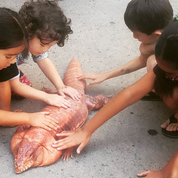 6. Он знакомится с новыми людьми...