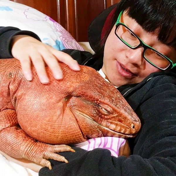 11. И, конечно же, обнимается.