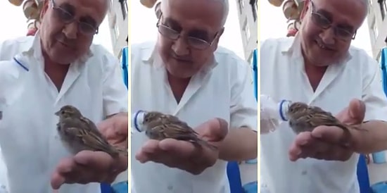 Yaz Sıcağında Susayan Kuşa Elleriyle Su İçiren Ellerinden Öpülesi Amca