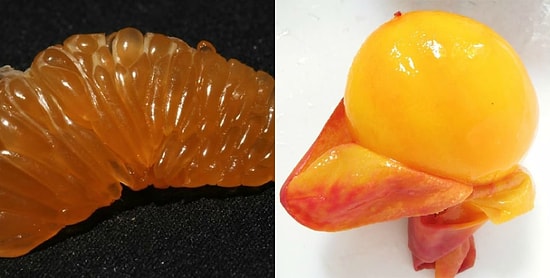 Фрукты и овощи в стиле "ню": Как наши любимые лакомства выглядят без кожуры?