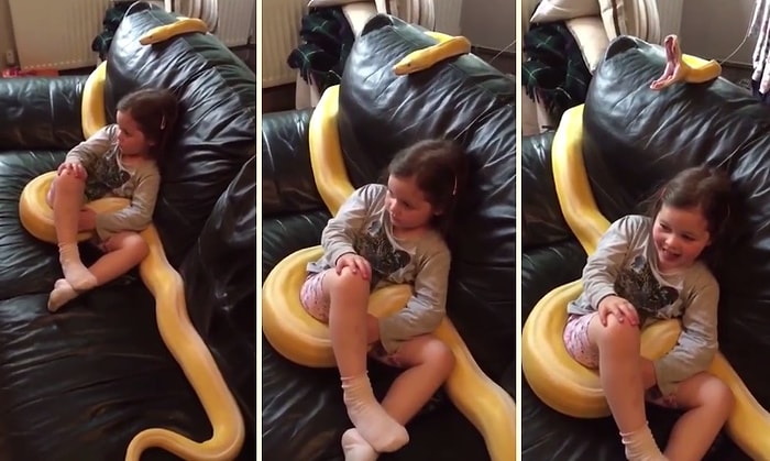 Devasa Yılanla Sarmaş Dolaş Televizyon İzleyen Ufaklık