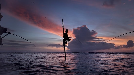 Dünyanın Muhteşemliğini Farklı Açılardan Gösteren Enfes Bir Belgesel Geliyor: Awaken