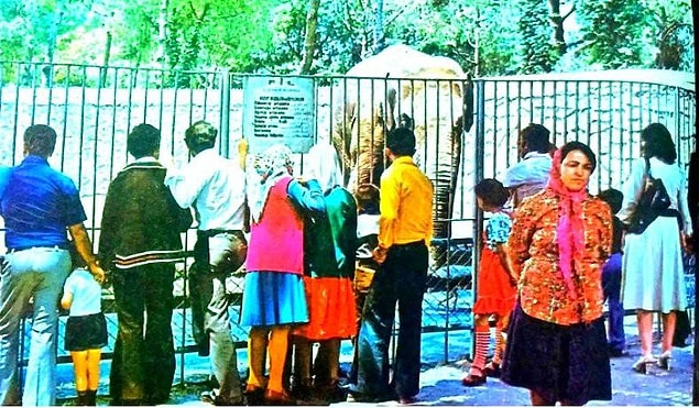 14. Hayvanat Bahçesi'nin ünlüsü, Pak Bahadır, Fuar, yıl 1978.