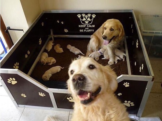 İçinizi Güneş Gibi Isıtarak Haftanızın Harika Geçmesini Sağlayacak 13 Paylaşım