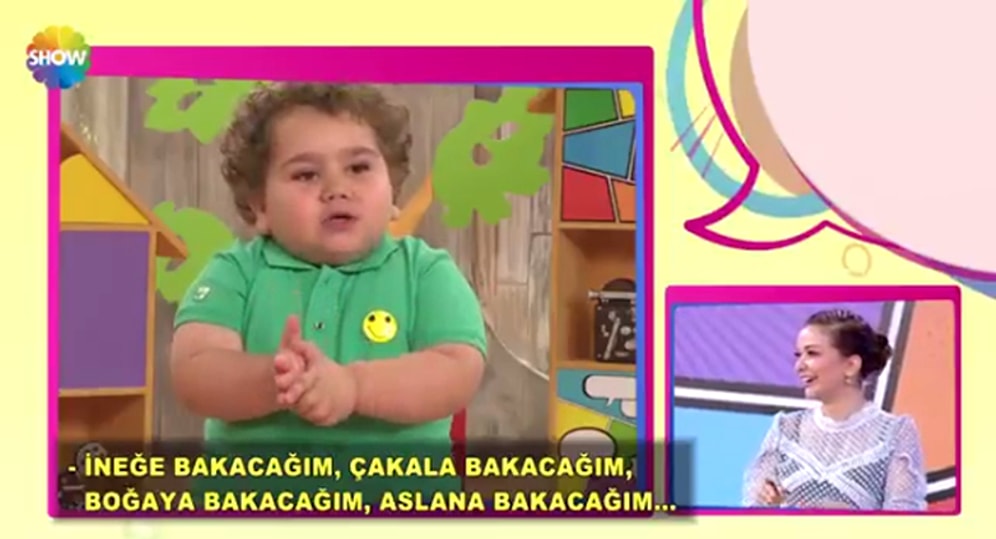 Şivesi ve Danslarıyla Neşenize Neşe Katabilecek Ponçik Bir Kardeşimiz: Çitos Efe'yle Tanışın!