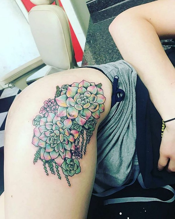 10. Экзотика