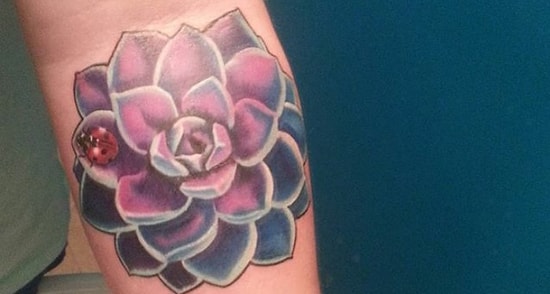 21 крутая идея для тату с суккулентами