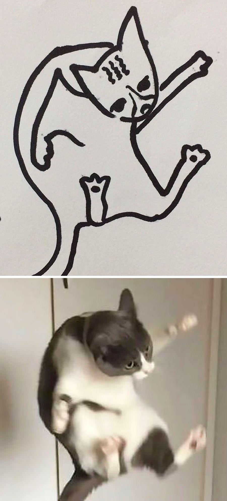 Yeteneksiz Ressamlarin Kedi Cizimlerini Gosteren Birbirinden Tuhaf Ve Soyut 26 Kare