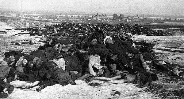 2. Stalingrad eteklerinde üst üstte yığılmış ölmüş Alman askerleri, 1943.