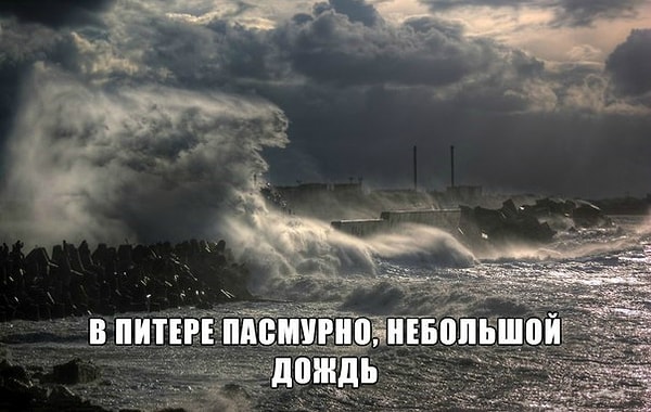 5. В Питере не ждут хорошей погоды