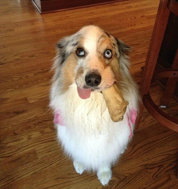 4. "Мое, не отдам!"