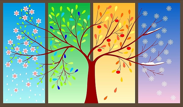 7. Какое ваше любимое время года?