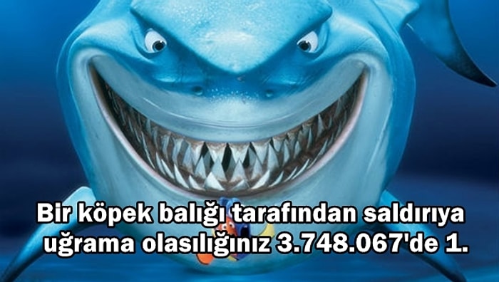 Okyanusun Korkulu Rüyaları: Köpek Balıkları Hakkında Daha Önce Duymadığınız 24 Gerçek