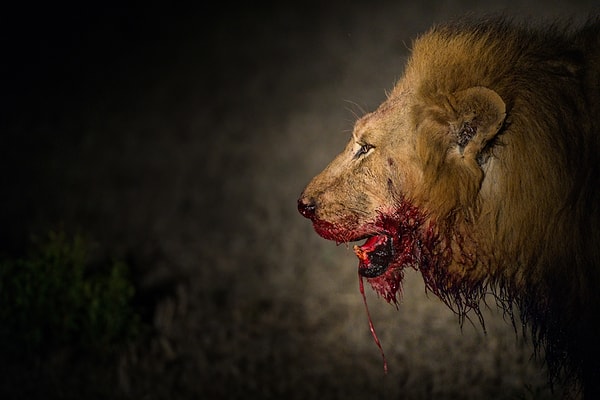 Вы довольно безжалостны!